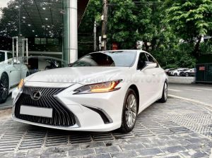 Xe Lexus ES 250 2019