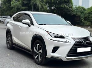 Xe Lexus NX 300 2019