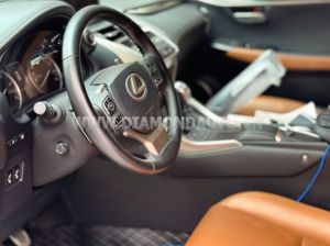 Xe Lexus NX 300 2019