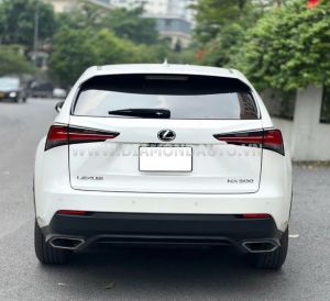 Xe Lexus NX 300 2019