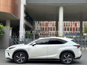 Xe Lexus NX 300 2019