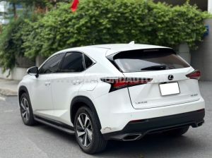 Xe Lexus NX 300 2019