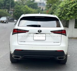 Xe Lexus NX 300 2019