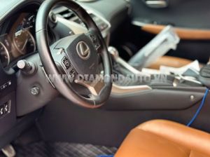 Xe Lexus NX 300 2019