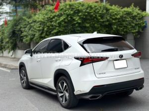 Xe Lexus NX 300 2019