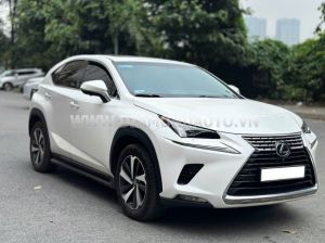 Xe Lexus NX 300 2019