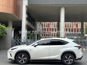 Xe Lexus NX 300 2019