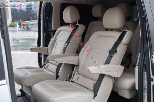 Xe Mercedes Benz V250 Luxury 2021