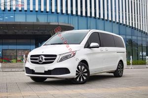 Xe Mercedes Benz V250 Luxury 2021