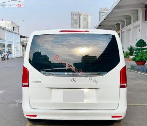 Xe Mercedes Benz V250 Luxury 2022