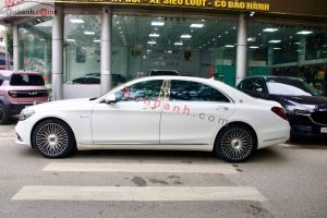 Xe Mercedes Benz S450L 2020