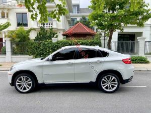 Xe BMW X6 xDrive35i 2010