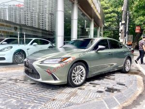 Xe Lexus ES 250 2022