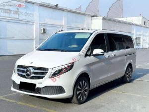 Xe Mercedes Benz V250 Luxury 2022