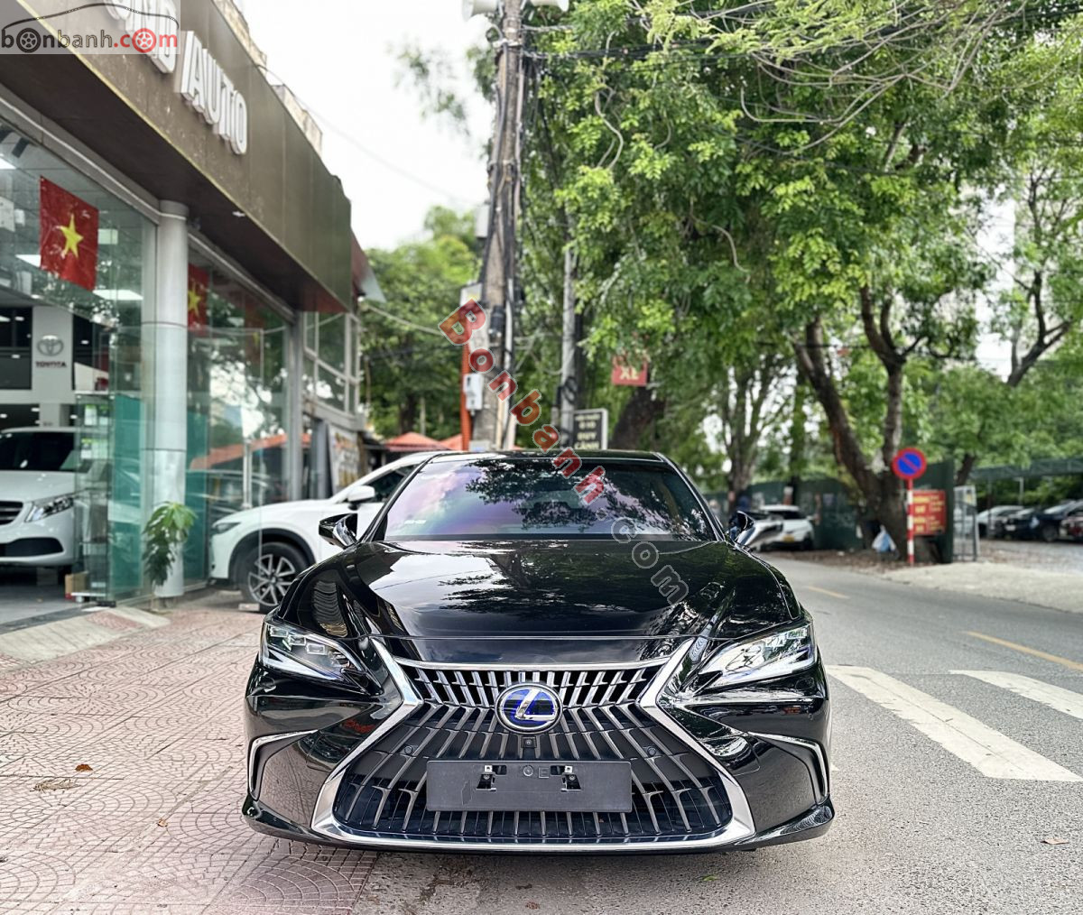Lexus ES 300h