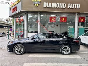 Xe Lexus ES 300h 2022