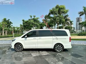 Xe Mercedes Benz V250 Luxury 2021