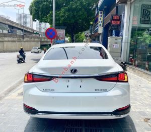 Xe Lexus ES 250 2021