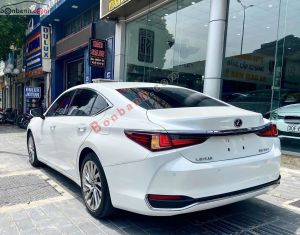 Xe Lexus ES 250 2021